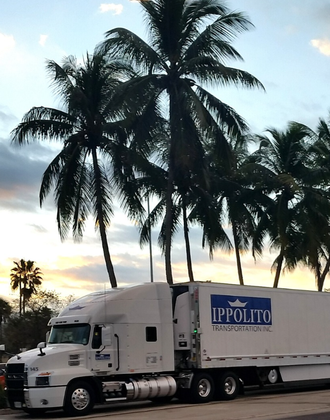 Ippolito truck with palm trees behind